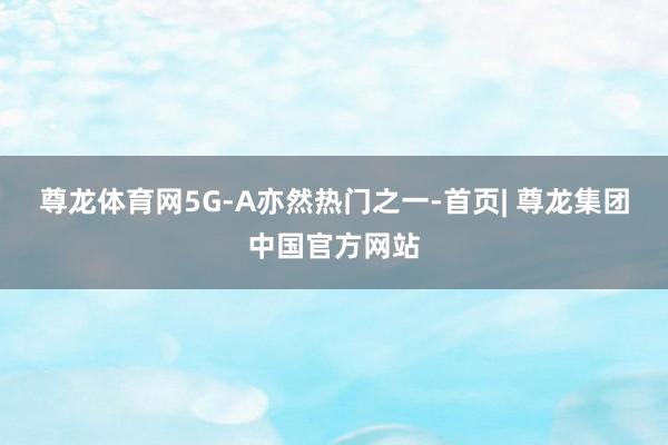 尊龙体育网5G-A亦然热门之一-首页| 尊龙集团中国官方网站