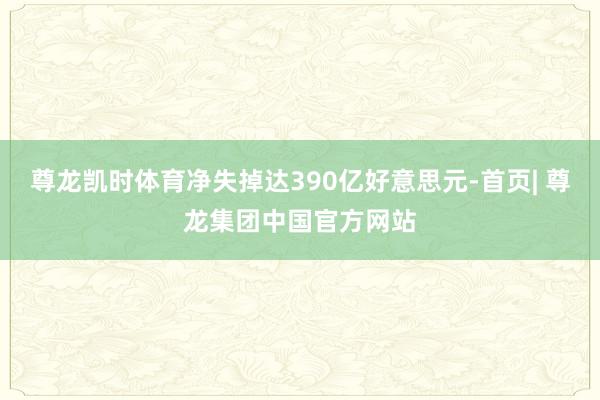 尊龙凯时体育净失掉达390亿好意思元-首页| 尊龙集团中国官方网站