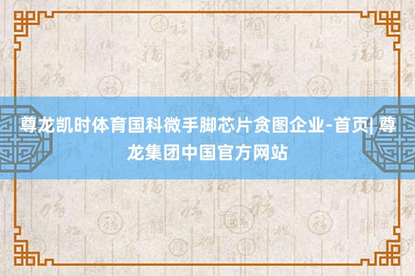 尊龙凯时体育国科微手脚芯片贪图企业-首页| 尊龙集团中国官方网站