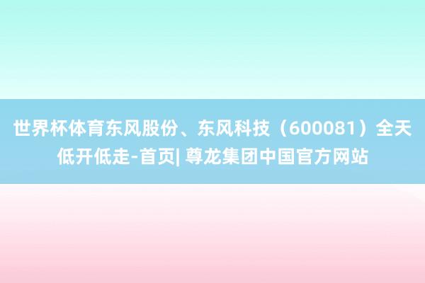世界杯体育东风股份、东风科技（600081）全天低开低走-首页| 尊龙集团中国官方网站
