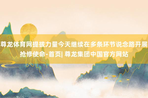 尊龙体育网提拔力量今天继续在多条环节说念路开展抢修使命-首页| 尊龙集团中国官方网站