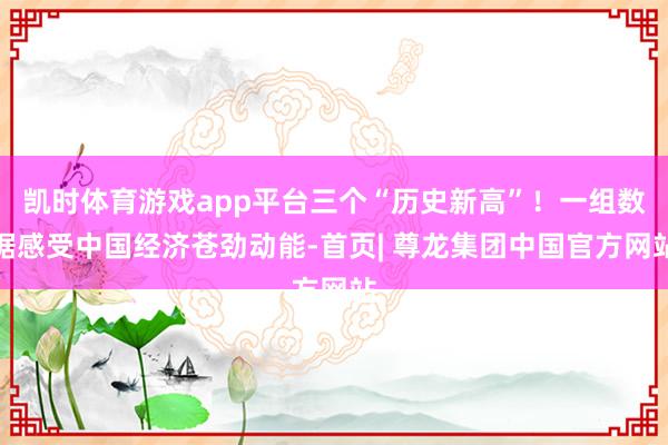 凯时体育游戏app平台三个“历史新高”！一组数据感受中国经济苍劲动能-首页| 尊龙集团中国官方网站