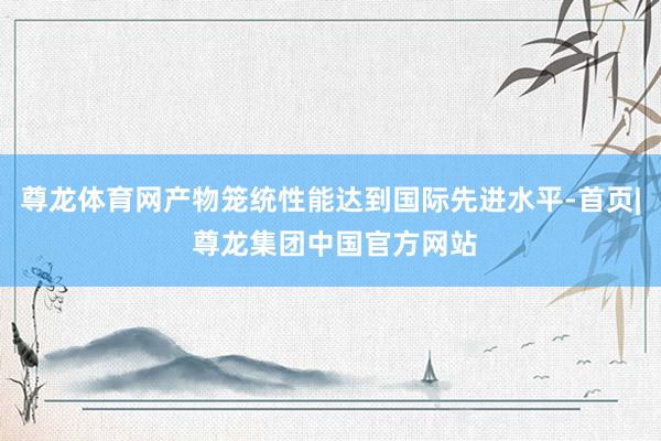 尊龙体育网产物笼统性能达到国际先进水平-首页| 尊龙集团中国官方网站
