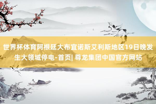 世界杯体育阿根廷大布宜诺斯艾利斯地区19日晚发生大领域停电-首页| 尊龙集团中国官方网站