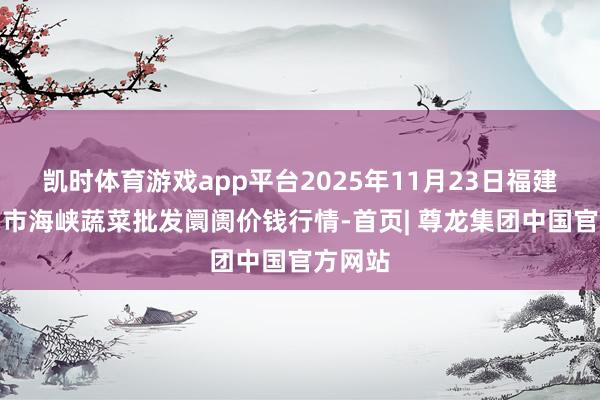 凯时体育游戏app平台2025年11月23日福建省福州市海峡蔬菜批发阛阓价钱行情-首页| 尊龙集团中国官方网站