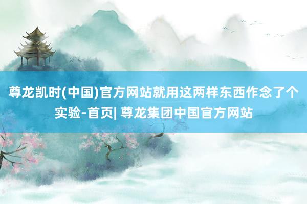 尊龙凯时(中国)官方网站就用这两样东西作念了个实验-首页| 尊龙集团中国官方网站