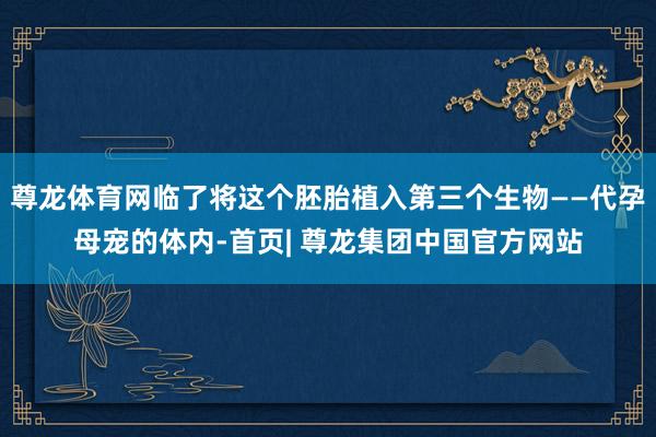 尊龙体育网临了将这个胚胎植入第三个生物——代孕母宠的体内-首页| 尊龙集团中国官方网站